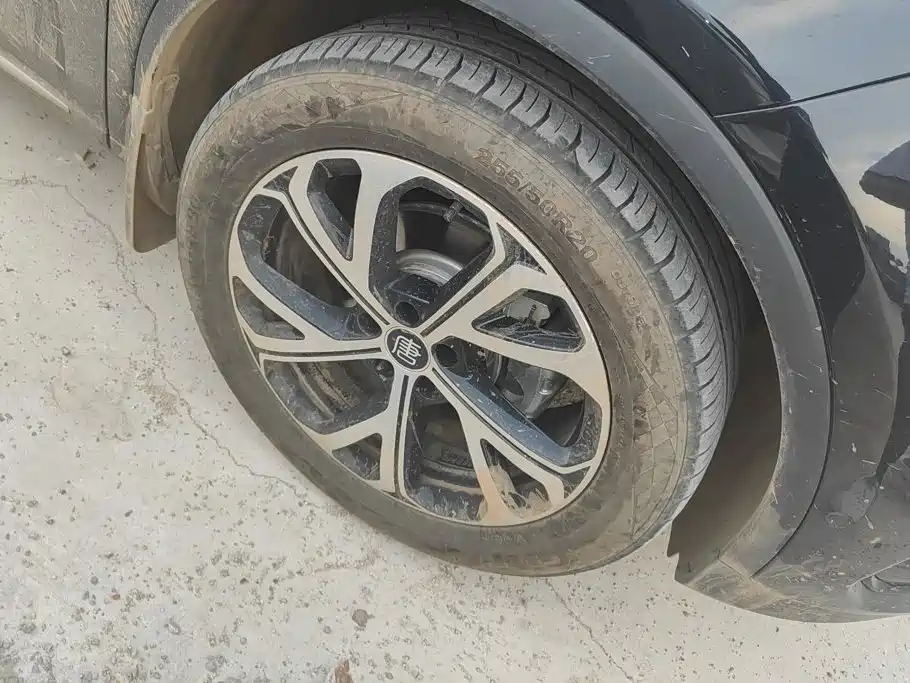 BYD Tang New Energy 2025 2025 DM-i 115KM Premium