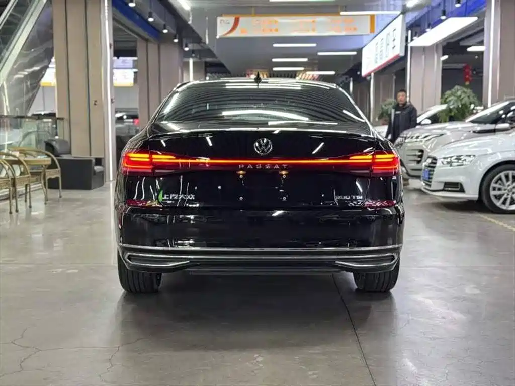  PASSAT