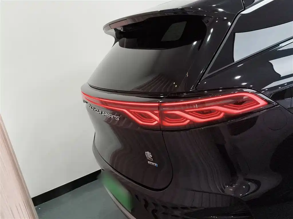 BYD Tang New Energy 2025 Smart Driving Edition DM-i 115KM Flagship фото 4