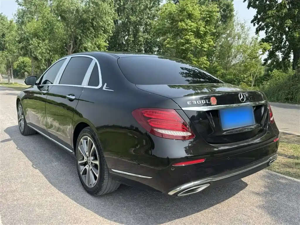 Mercedes-Benz E-Class 2020 E 260 L фото 23