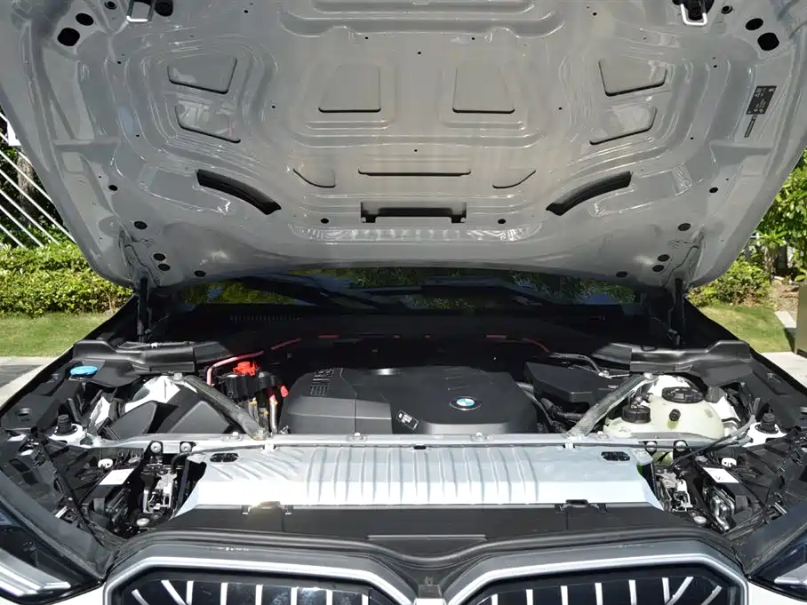 BMW X3 2025 xDrive30L Leading Model M Sport Black Package фото 13