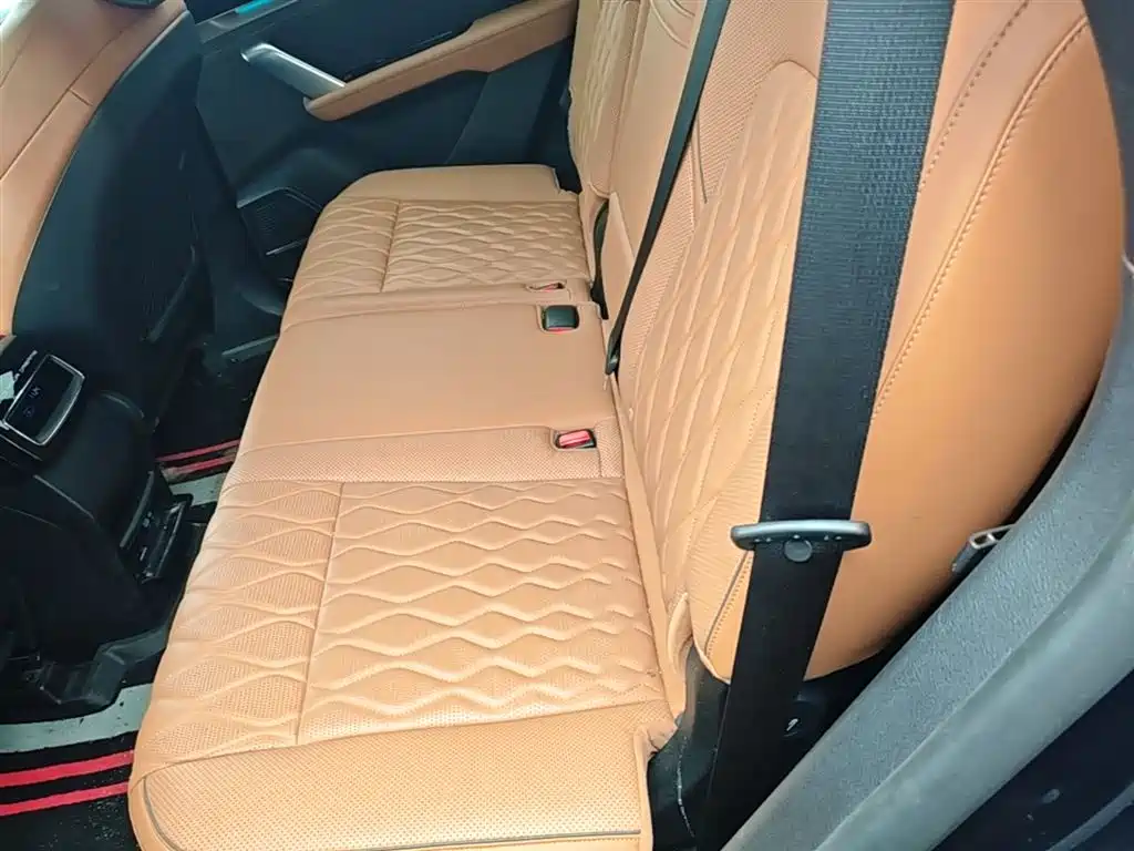 BYD Tang New Energy 2022 DM-p 215KM AWD Executive фото 17