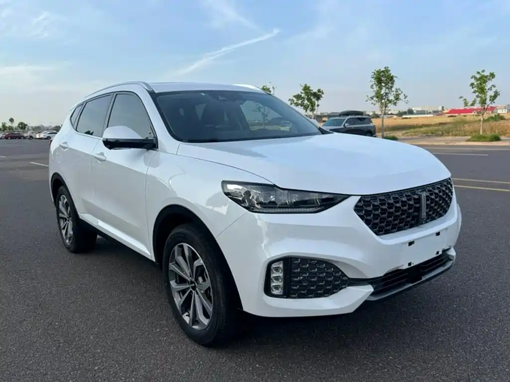 Фото 3 - WEY VV6