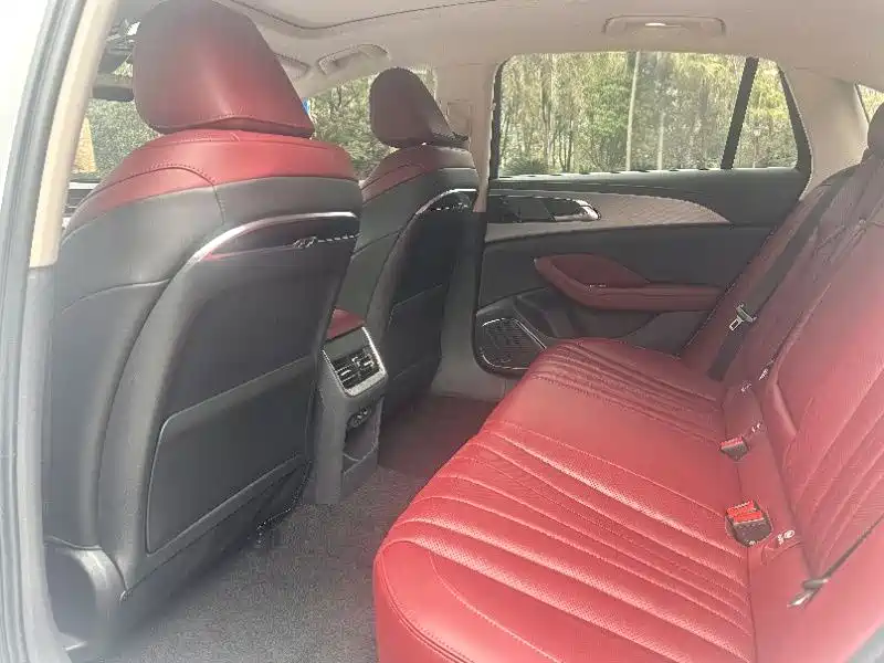 Hongqi H5 2023 2.0T Auto Smart Connect Flag Comfort фото 6