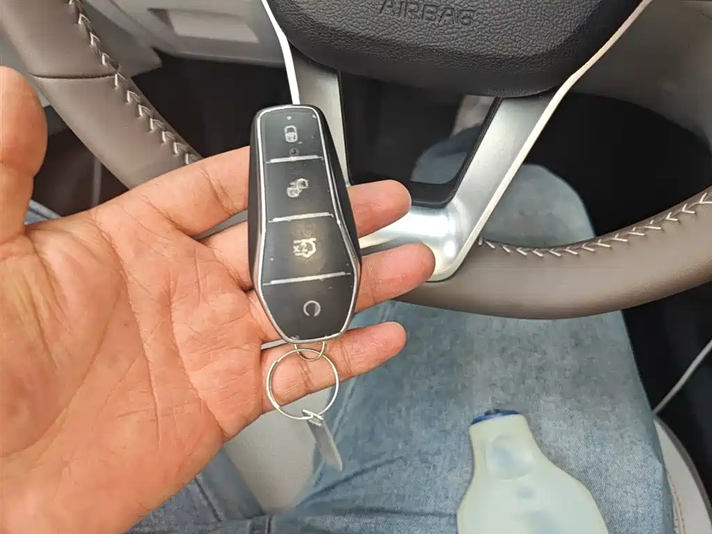 BYD Qin PLUS 2024 Glory Edition DM-i 55KM Leading фото 12