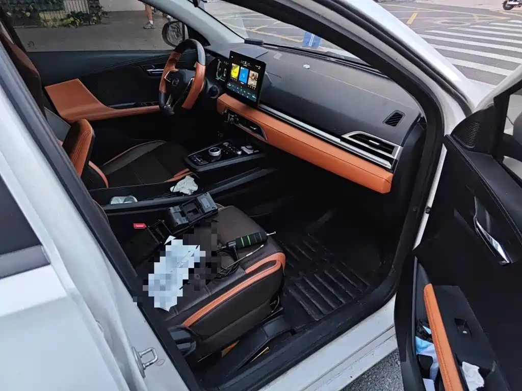 BYD e2 2021 2021 Luxury Edition