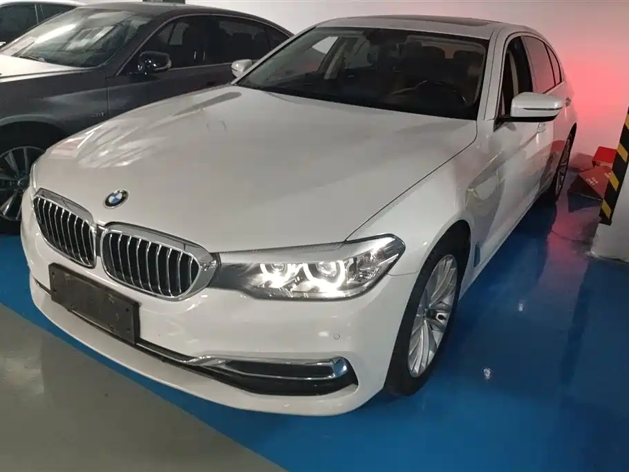 BMW 5 Series 2019 530Li Leading Luxury Package