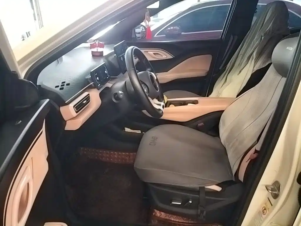 BYD Seagull 2023 Flying Edition фото 15