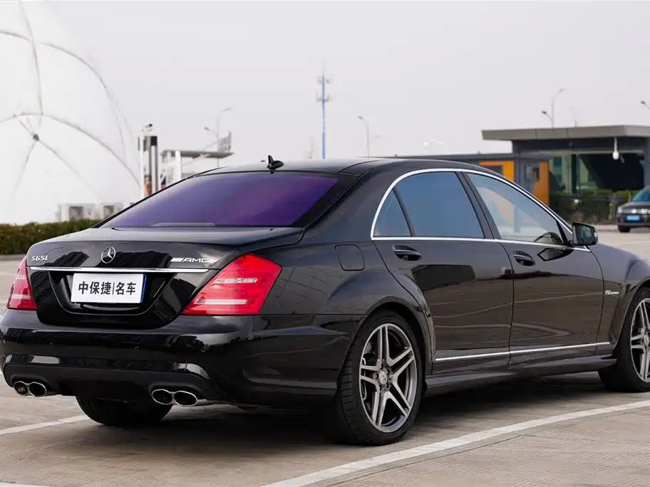 Mercedes-Benz S-Class 2010 S 600 L фото 28