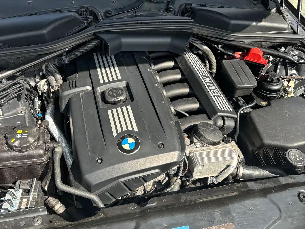 BMW 5 Series 2009 Model 523Li Premium фото 13