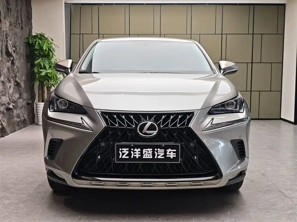 Lexus NX 2018 Model 200 FWD Fengxing Edition China V фото 2