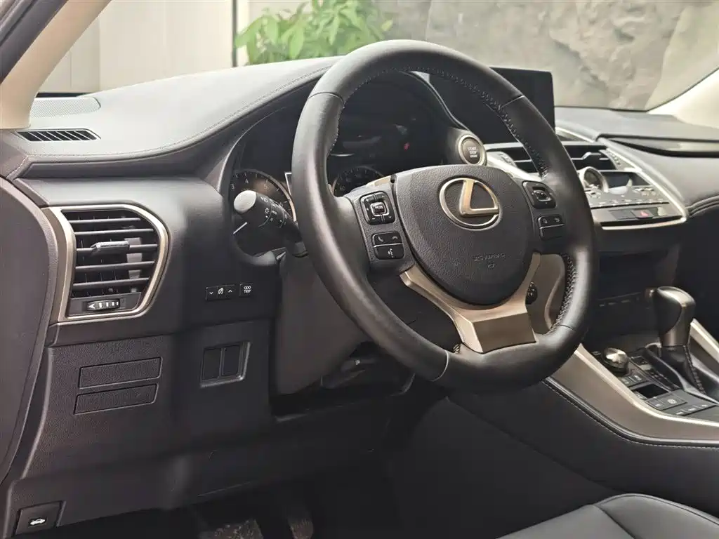 Lexus NX 2018 Model 200 FWD Fengxing Edition China V фото 7
