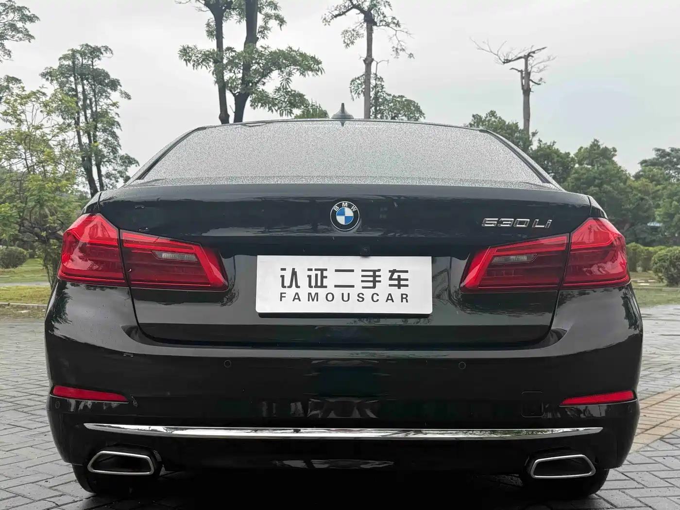 BMW 5 Series 2020 530Li Premium Luxury Package фото 27