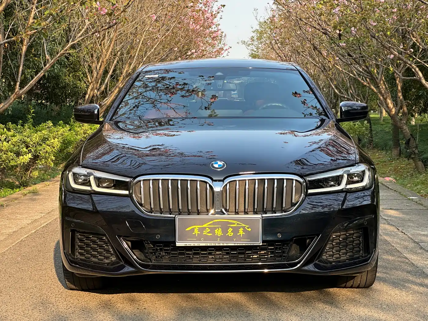 BMW 5 SERIES