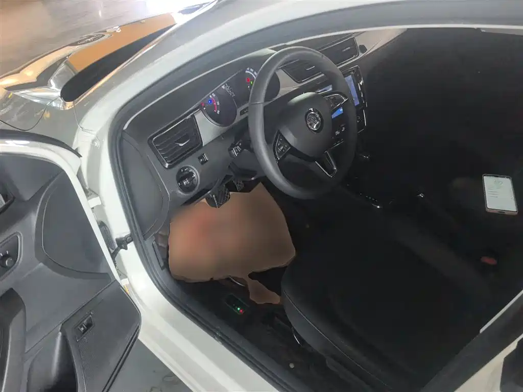 Škoda Rapid 2020 1.5L Automatic Comfort Edition фото 12