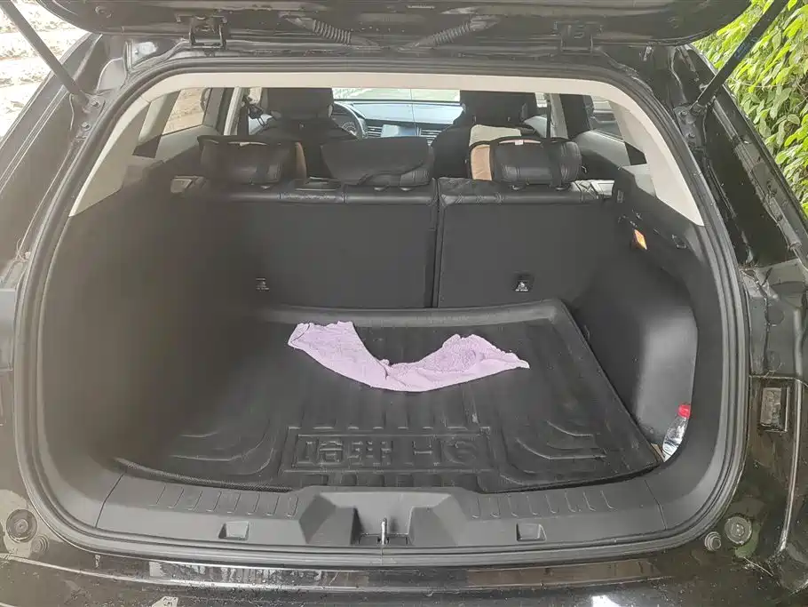 Haval H6 2020 1.5GDIT Automatic Platinum Champion Edition фото 4