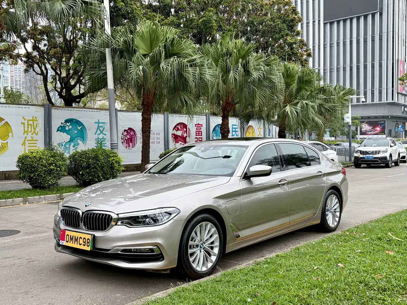 BMW 5 Series New Energy 2019 530Le Luxury Package