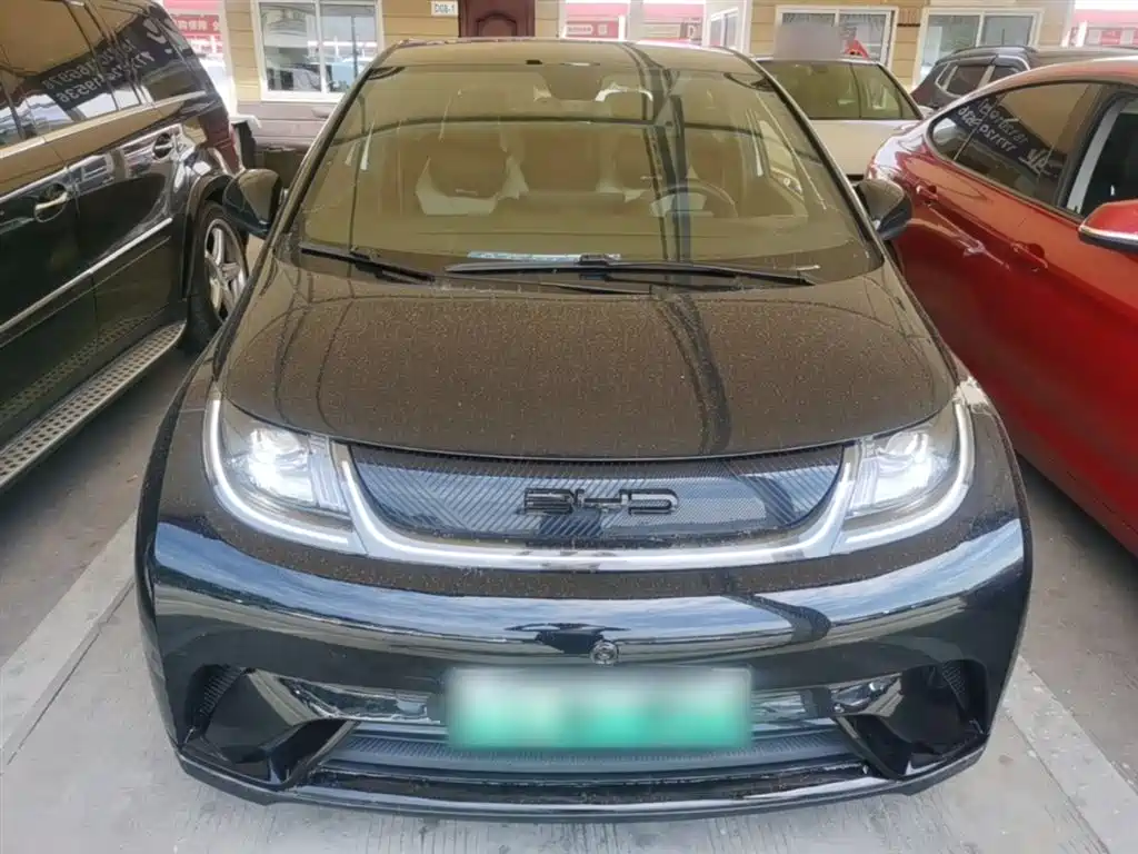 BYD Dolphin 2023 420km Fashion Edition фото 3