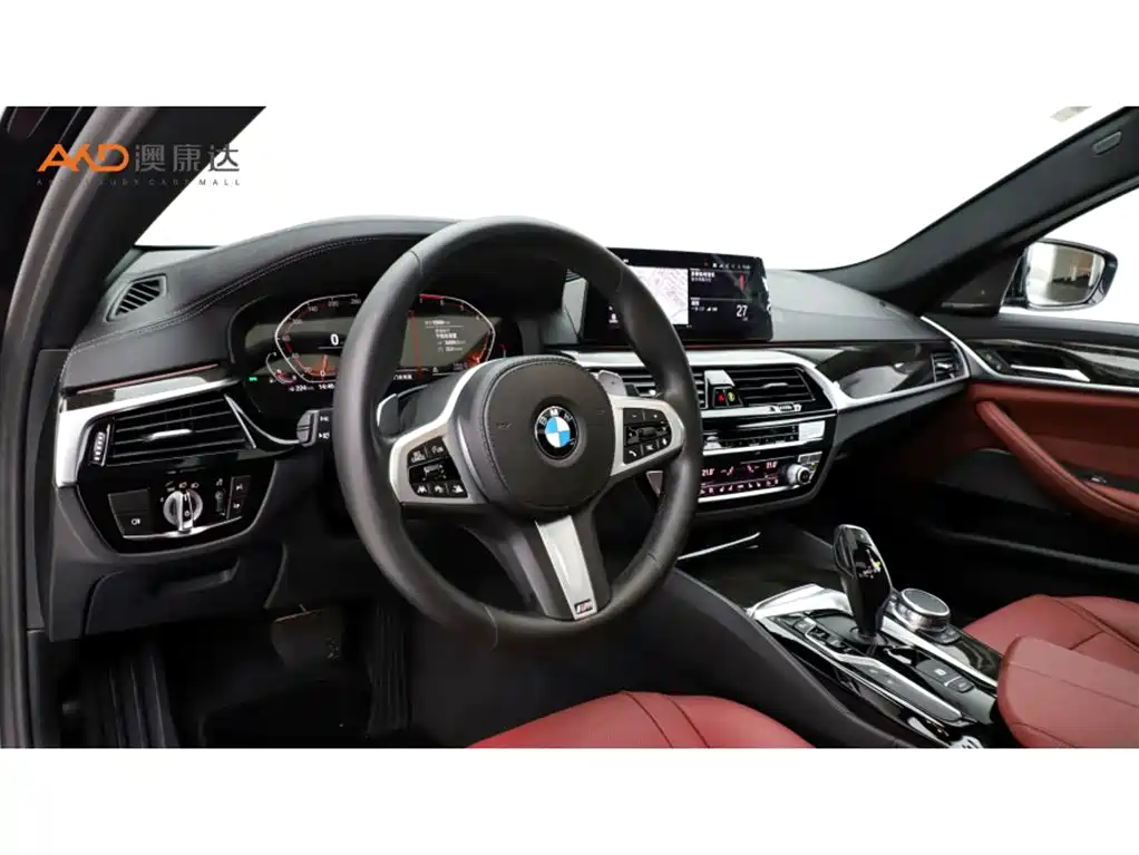 BMW 5 Series 2020 530Li Exclusive M Sport Package фото 6