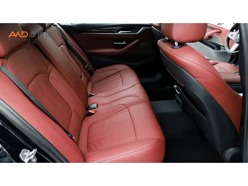 BMW 5 Series 2020 530Li Exclusive M Sport Package фото 8