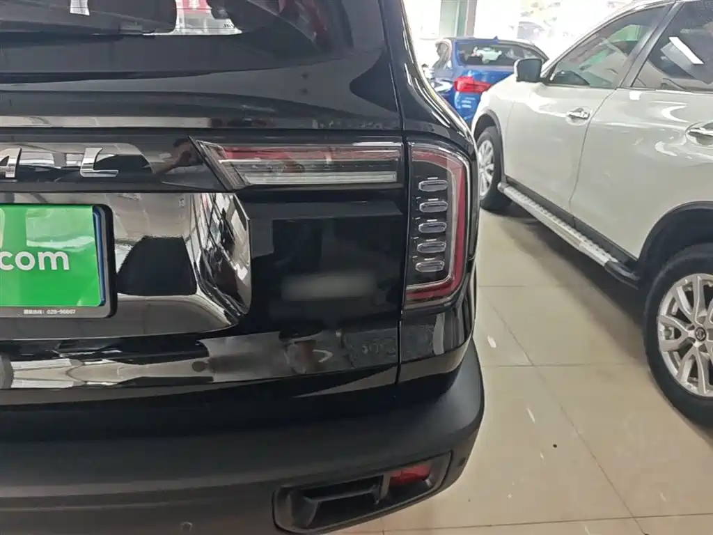 Haval Big Dog 2022 1.5T DCT FWD Border Collie Edition фото 8