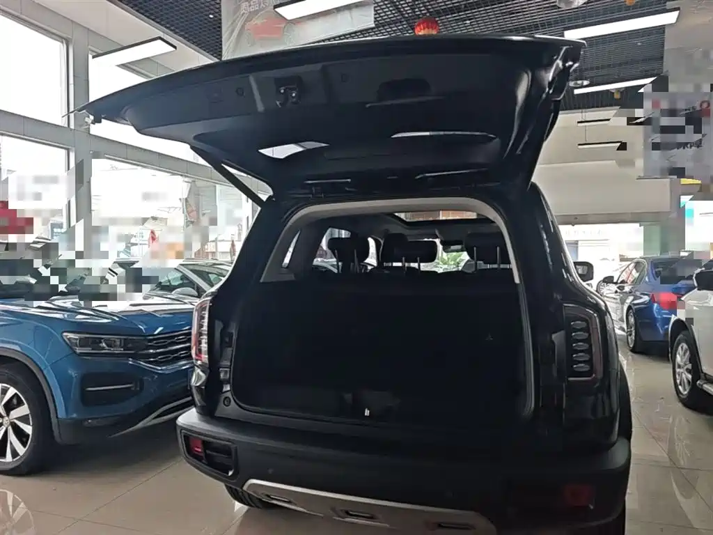 Haval Big Dog 2022 1.5T DCT FWD Border Collie Edition фото 19