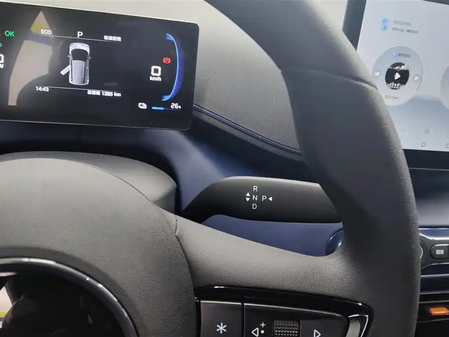 BYD Seagull 2025 Smart Drive Edition 305km Vitality Version фото 16