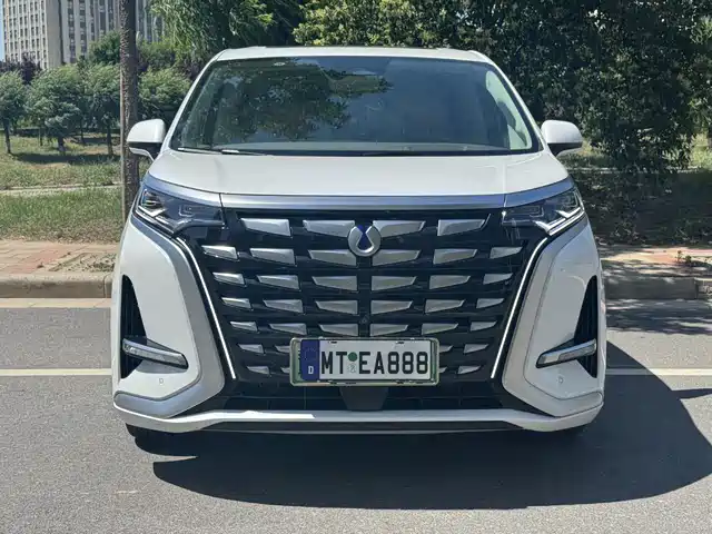 Denza D9 2022 DM-i 970 AWD Flagship