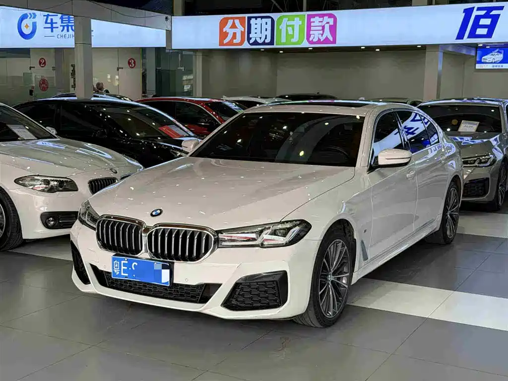 BMW 5 SERIES