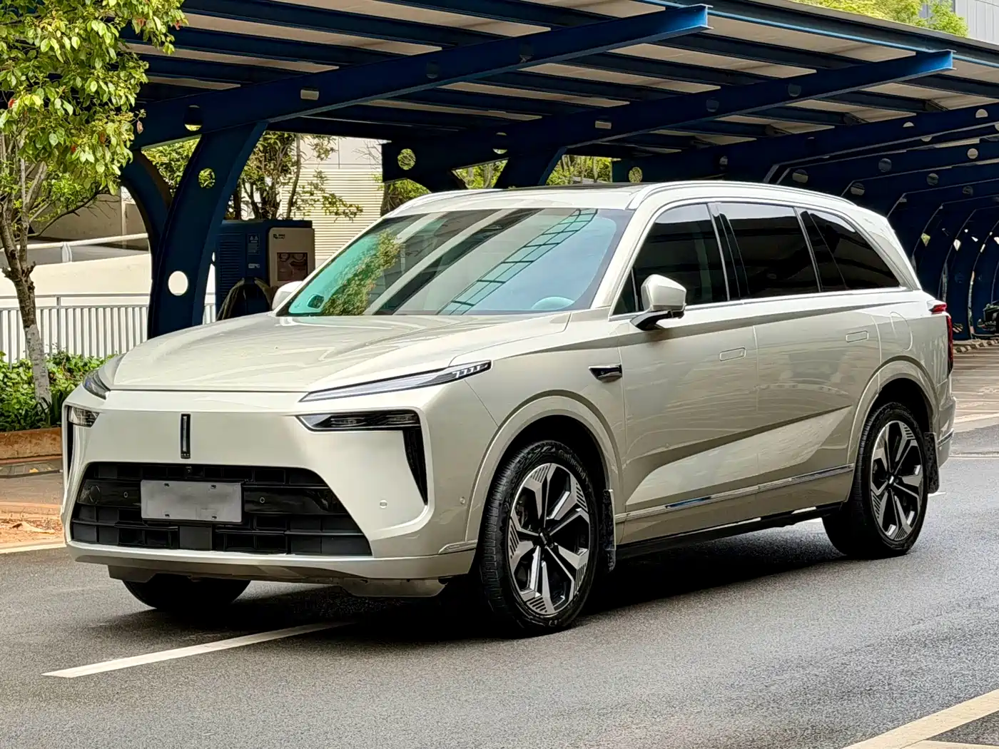 WEI PAI WEI BRAND BLUE MOUNTAIN