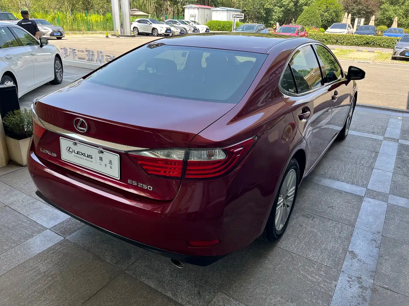 Lexus ES 2013 250 Elite Edition фото 7