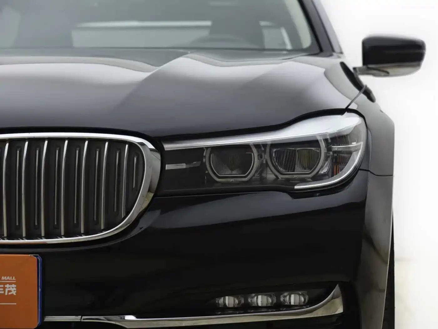 BMW 7 Series 2018 730Li Leading Type Excellence Package фото 2