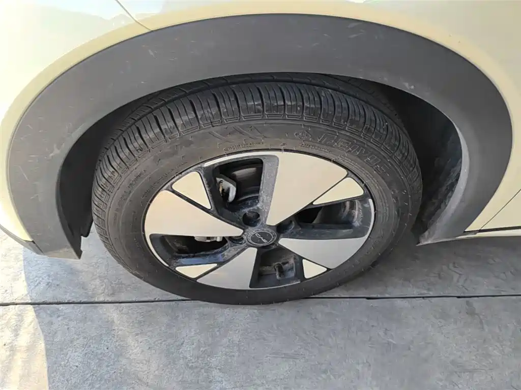 BYD Dolphin 2023 420km Fashion Edition фото 23