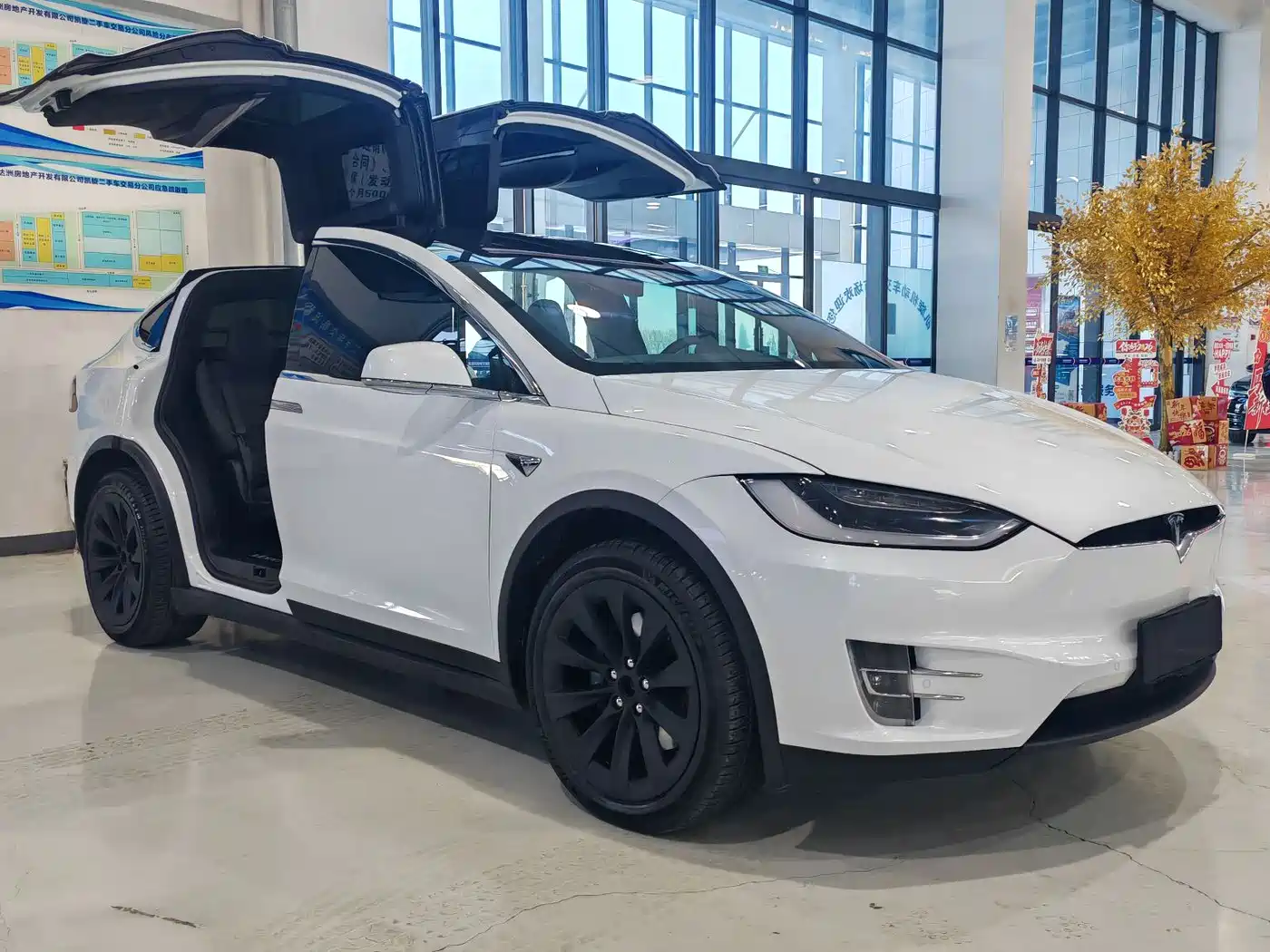 TESLA MODEL X