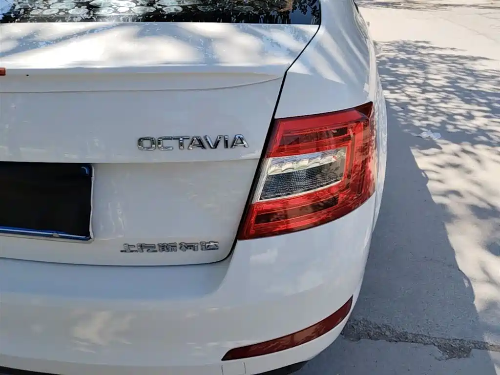 Škoda Octavia 2017 1.6L Manual ChuangXing фото 8