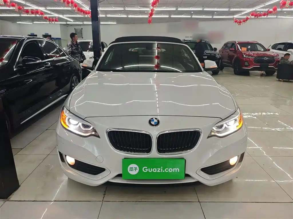 BMW 2 Series (Import) 2015 218i Convertible Coupe фото 3