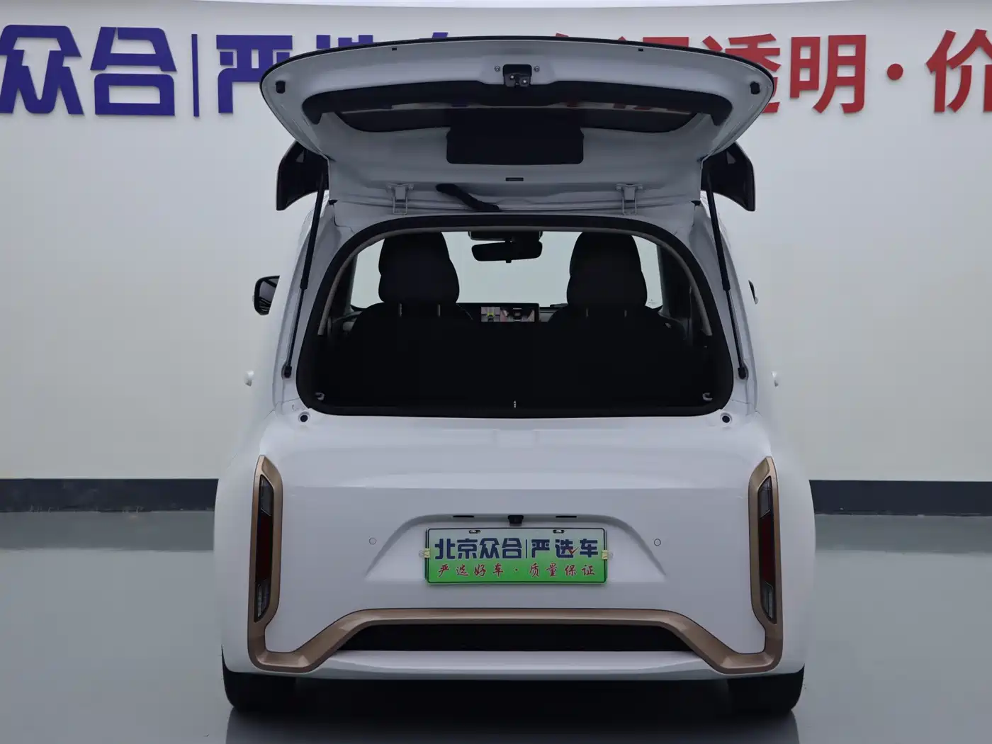 Ora White Cat 2022 2022 Wildcat Edition 401km Flagship (NMC)
