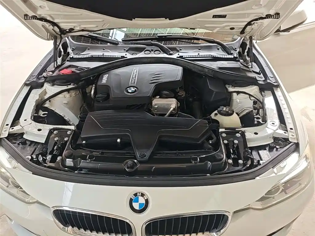 BMW 3 Series 2016 320Li Fashion Model фото 20