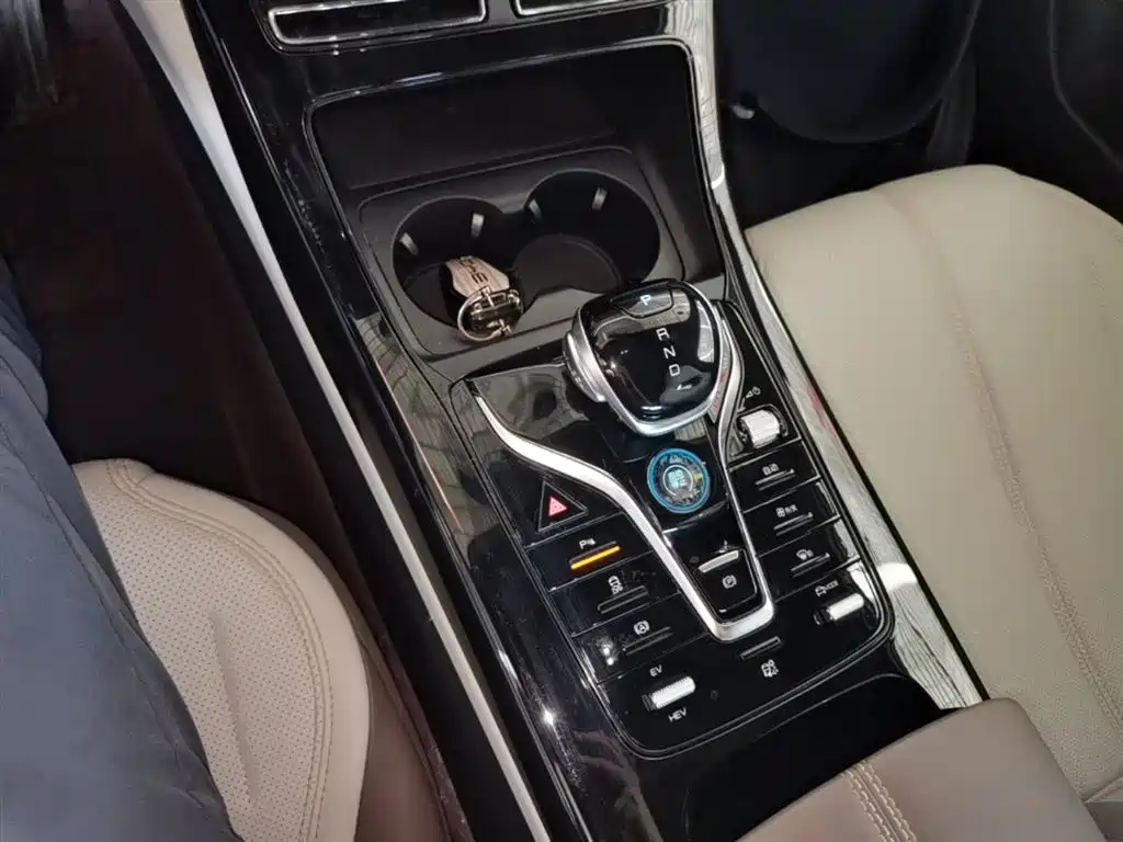 BYD Qin PLUS 2024 Glory Edition DM-i 55KM Leading фото 14