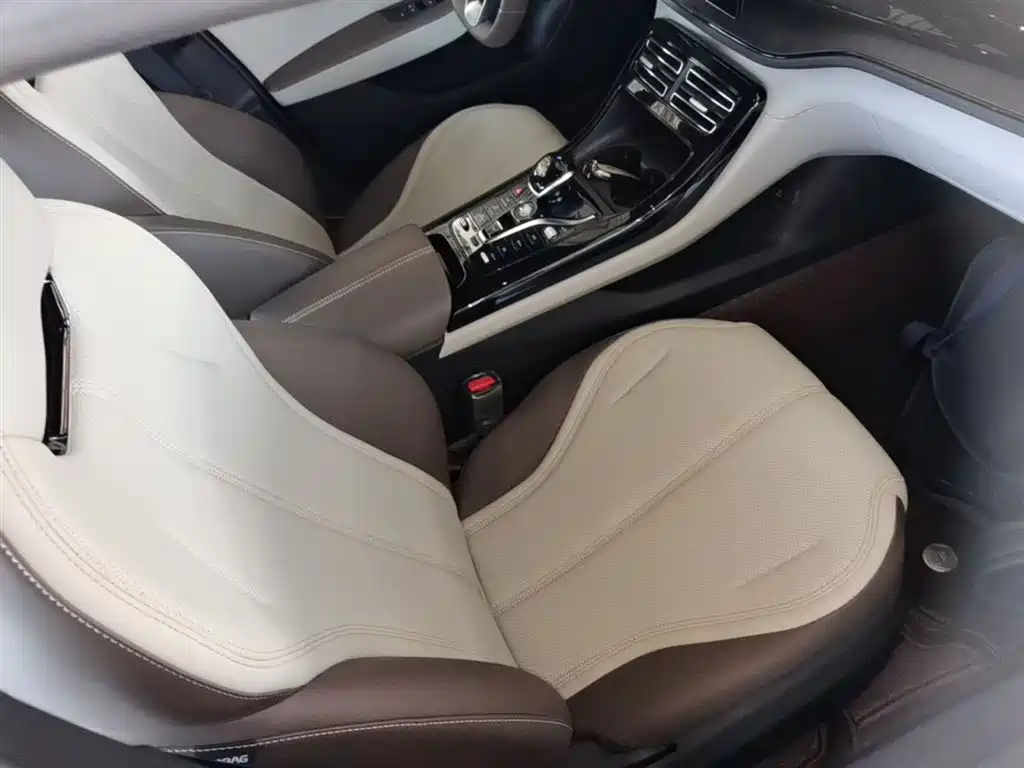 BYD Qin PLUS 2024 Glory Edition DM-i 55KM Leading фото 25