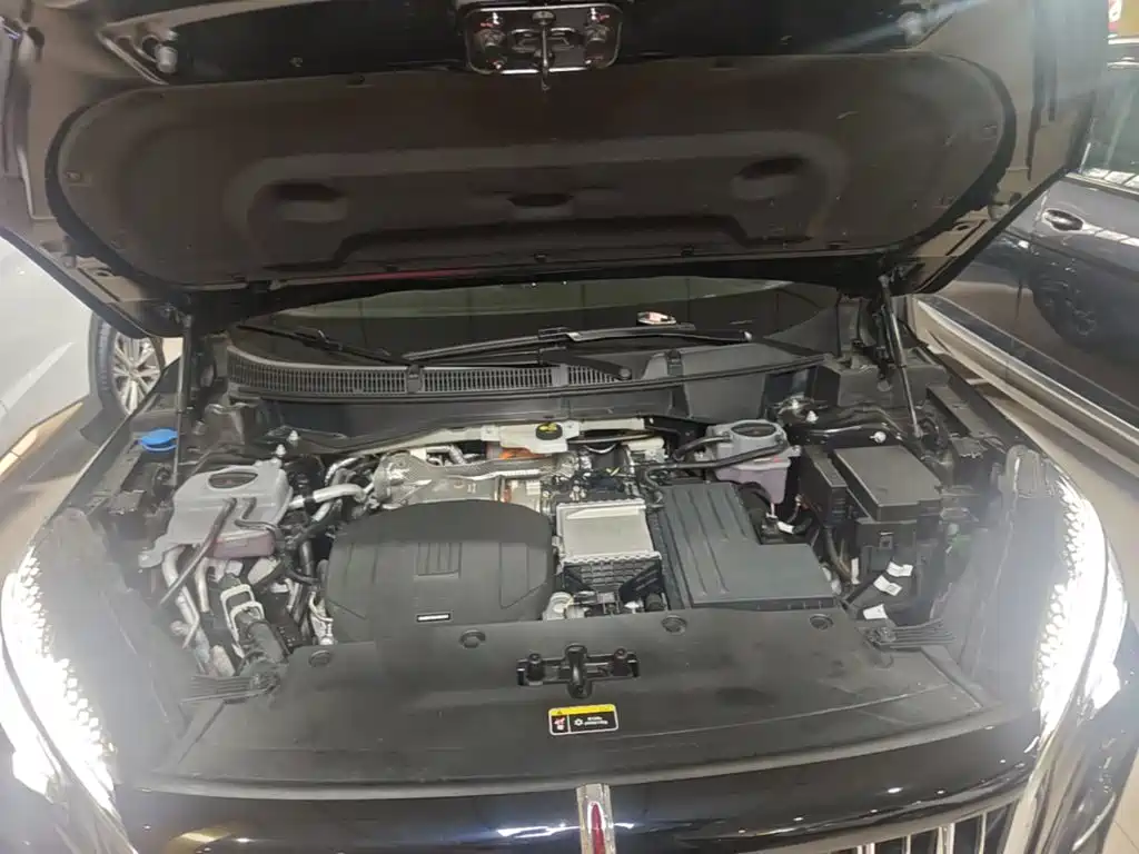 Hongqi HS3 PHEV 2025 2025 PHEV 115km Power Edition