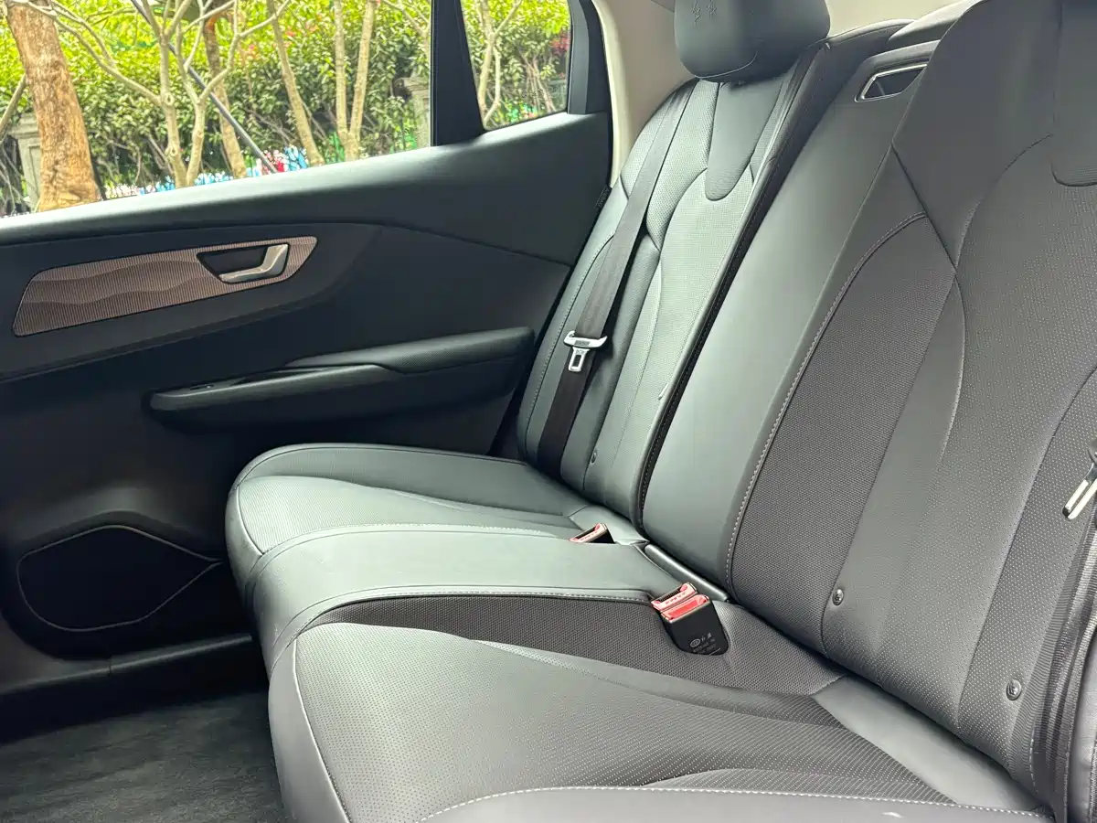 Hongqi E-QM5 2023 Basic Travel Edition фото 8