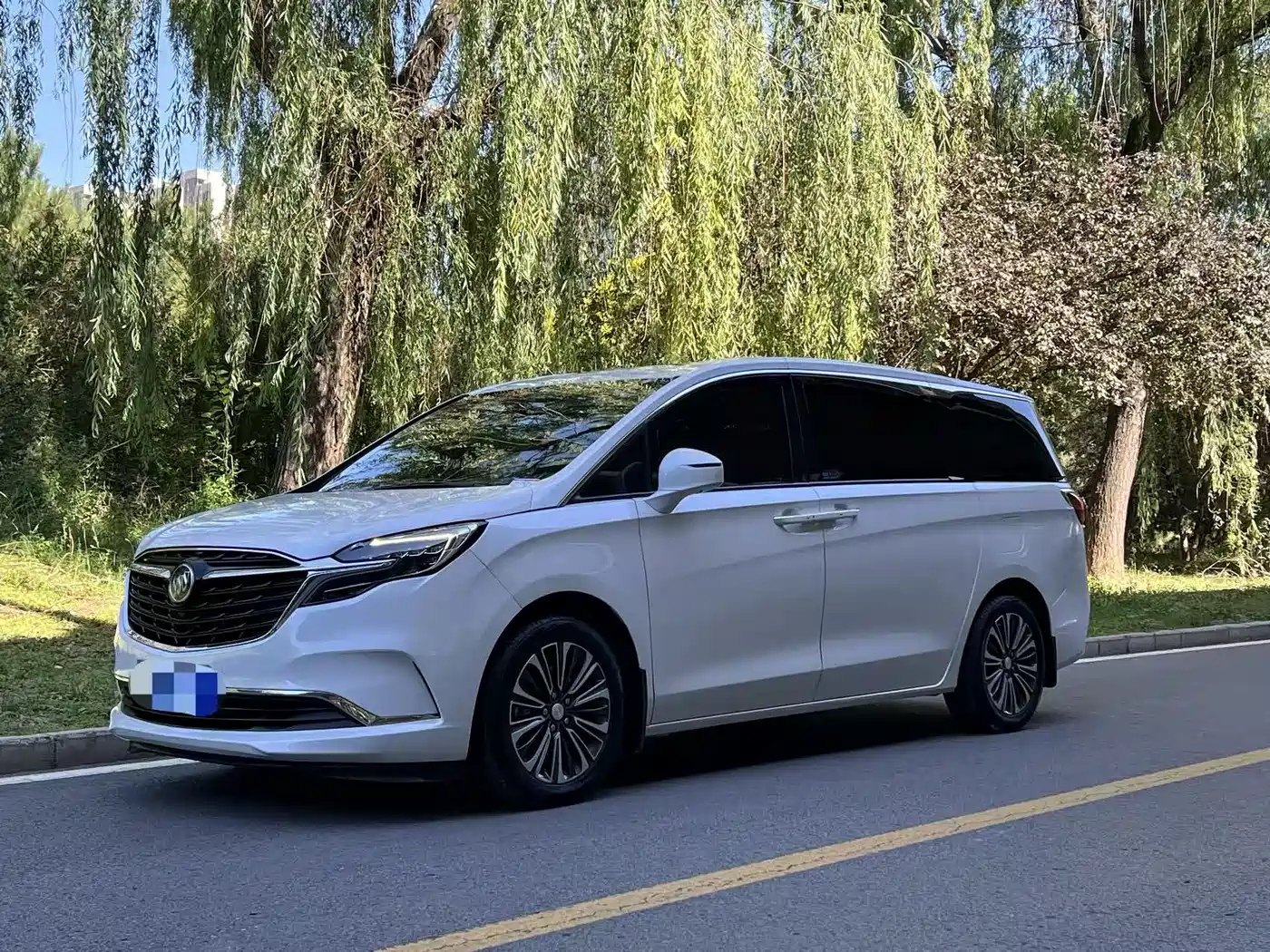 Buick GL8 2020 Model ES Landglory 653T Luxury