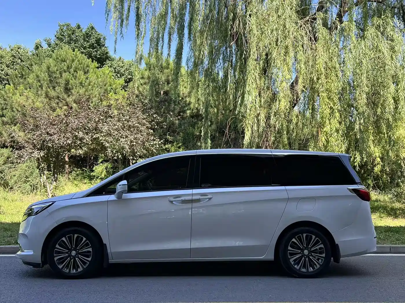 Buick GL8 2020 Model ES Landglory 653T Luxury фото 3
