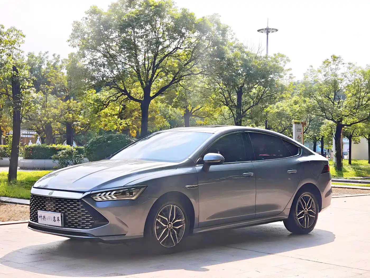 BYD Qin PLUS 2021 DM-i 55KM Flagship