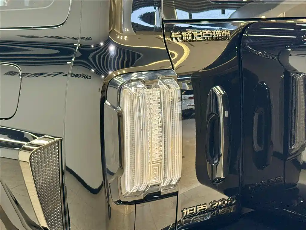CHAOJING AUTOMOBILE CO-CREATION TANK 300