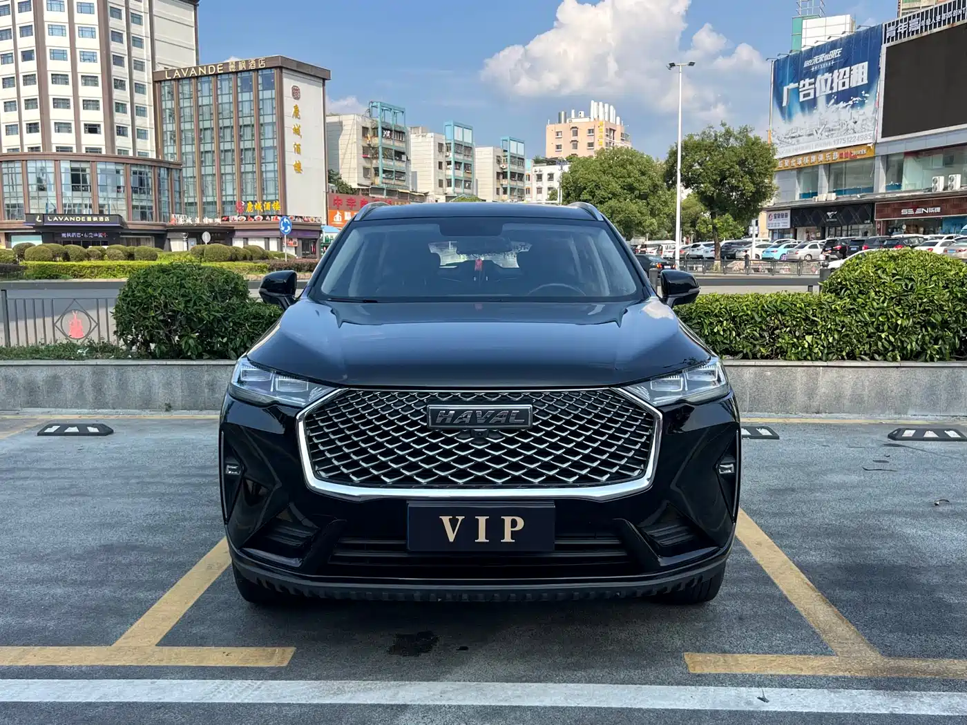 Haval H6 2021 3rd Gen 1.5T Auto 2WD Pro фото 2