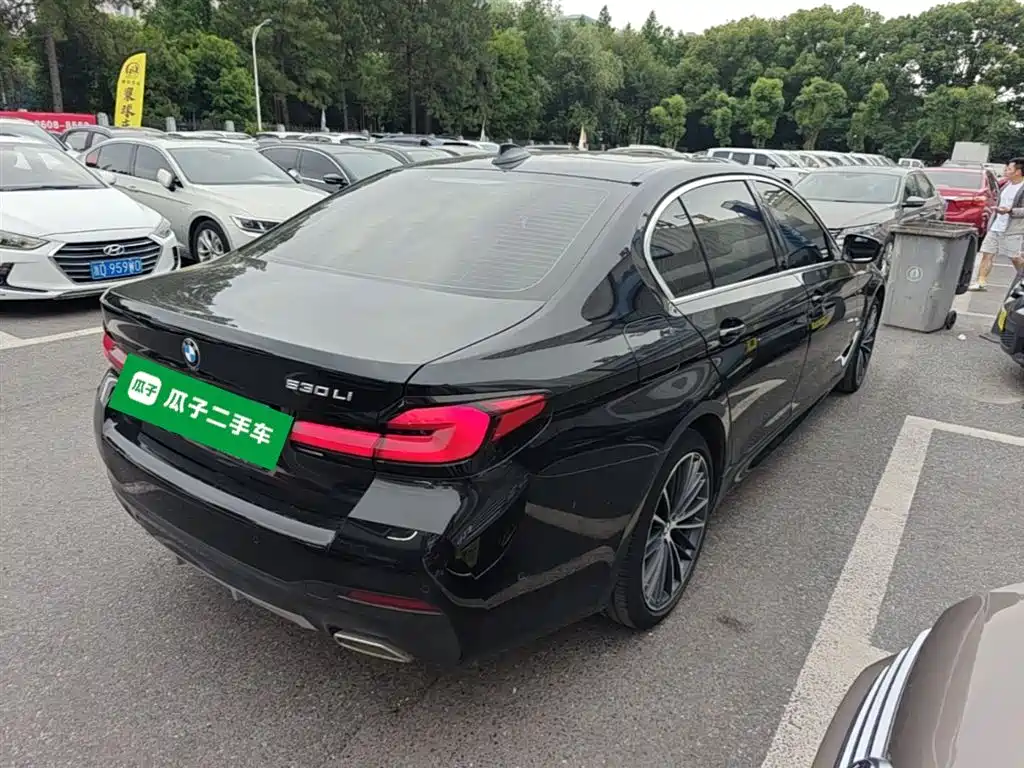 BMW 5 Series 2021 530Li Leading M Sport Package фото 12