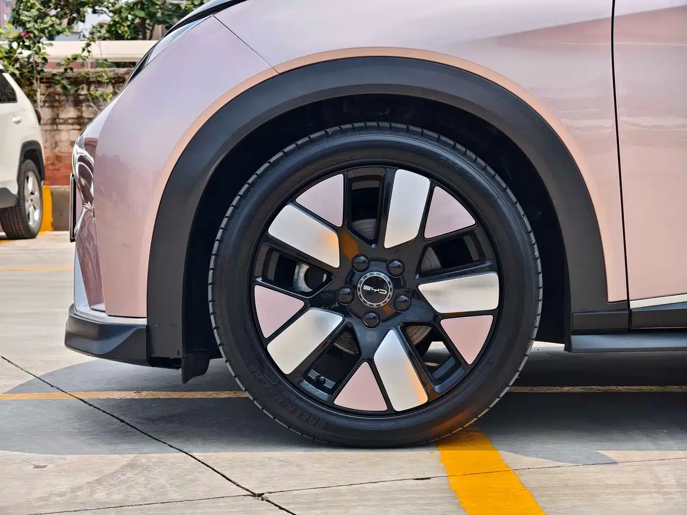 BYD Dolphin 2021 401km Knight Edition фото 34