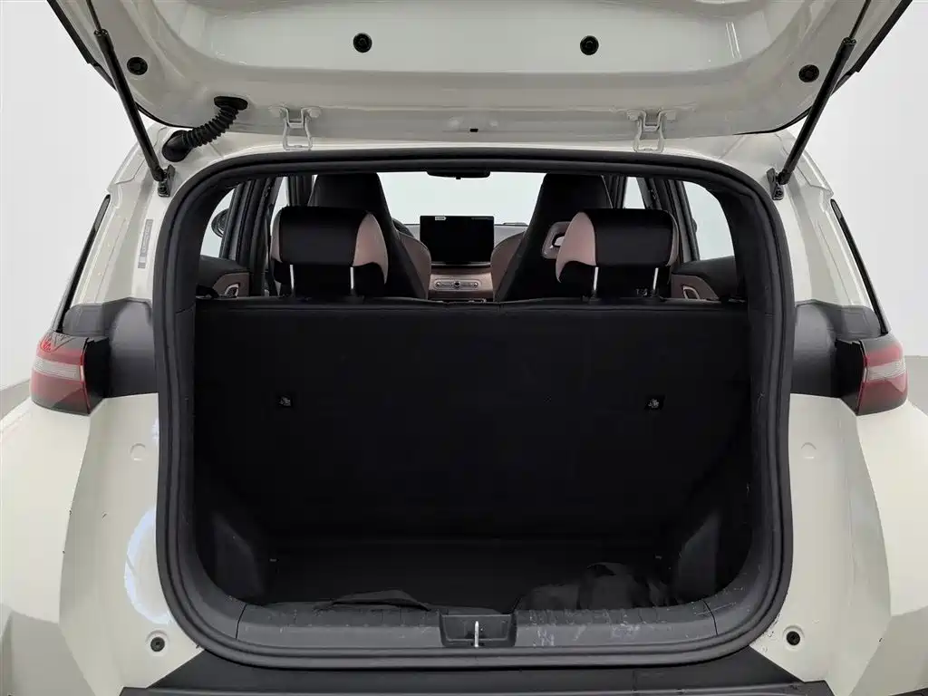 BYD Seagull 2025 Smart Drive Edition 305km Freedom Version фото 16